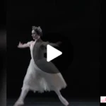 fragile masculinity dan dampaknya