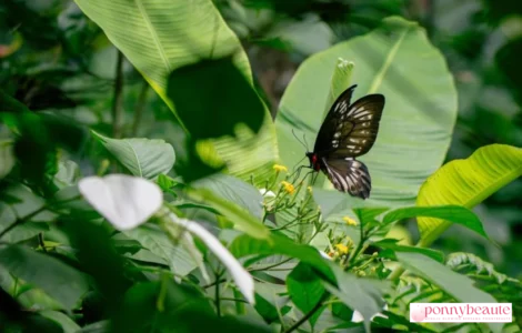 Pedoman Media Siber Perempuan