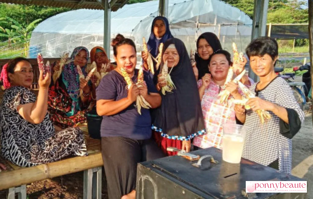 perempuan pulau pari