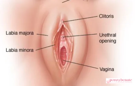 tanda vagina tidak sehat
